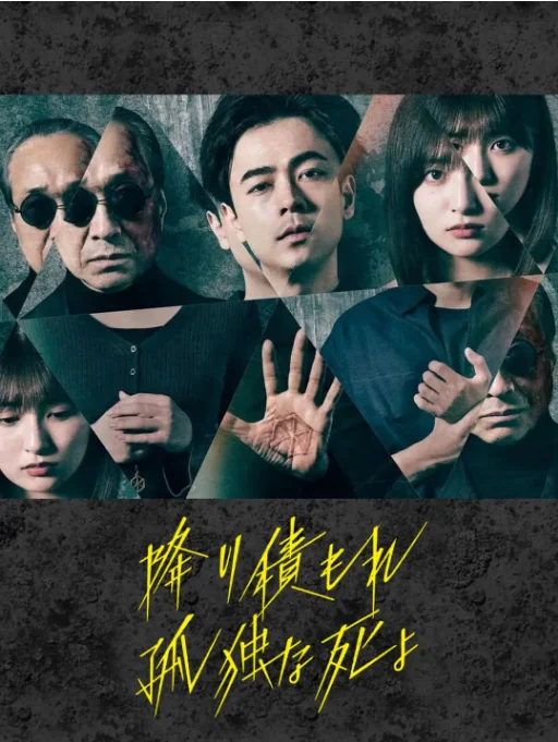 [夸克网盘][日剧]《如积雪般的永寂》（2024）剧情 / 悬疑 豆瓣7.1