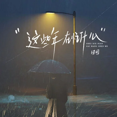 这些年在忙什么-田园