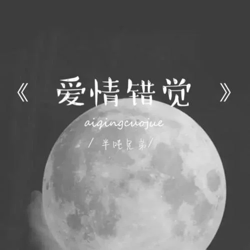 爱情错觉-半吨兄弟