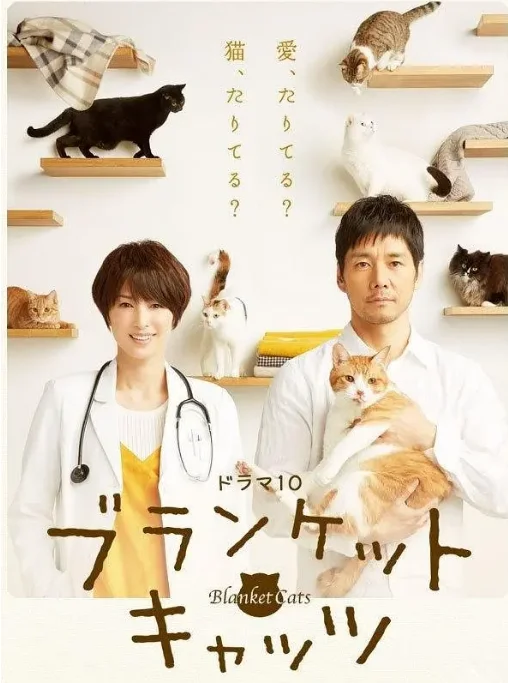 [夸克网盘][日剧]《毛毯猫》（2017）剧情 / 爱情 豆瓣8.1