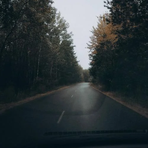 罗生门—Follow张子豪-TOP热搜榜