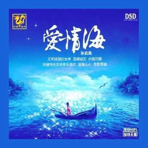 阳光总在风雨后-齐秦