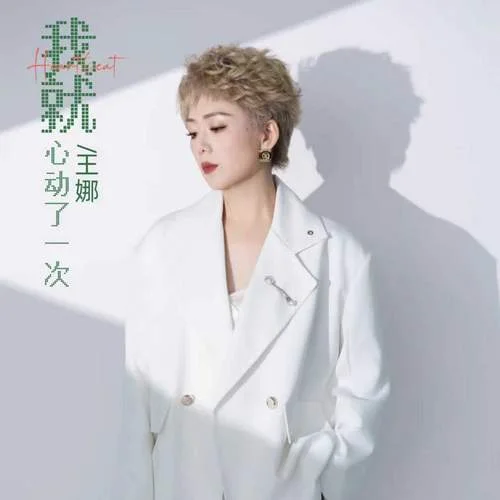我就心动了一次-王娜