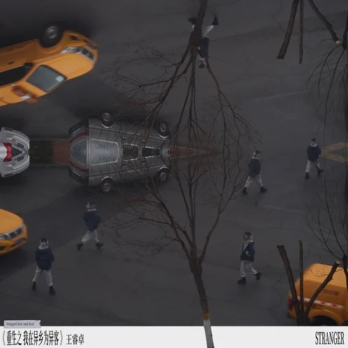 重生之我在异乡为异客（纯享版）-王睿卓