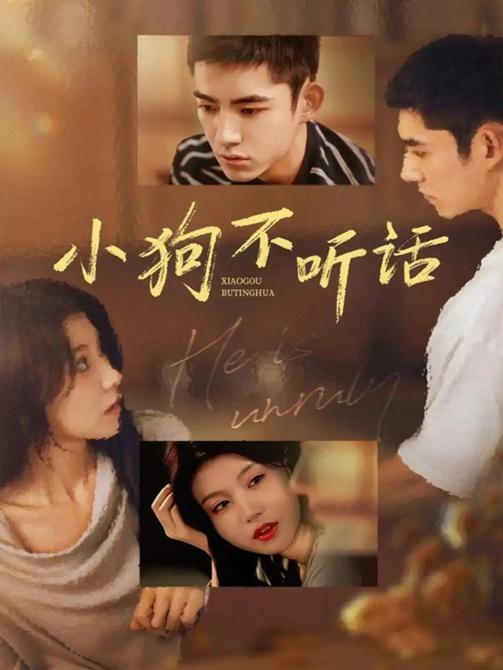 《小狗不聽話（70集）馬浩東＆何田田》全集免費(fèi)觀看