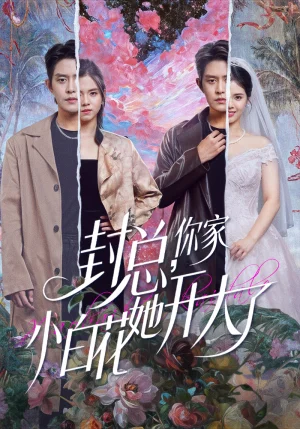 封总,你家小白花她开大了&大佬你的牙粘口红了(60集)王朝阳&邓燕妮 封总,你家小白花她开大了&大佬你的牙粘口红了(60集)王朝阳&邓燕妮