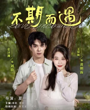 不期而遇（62集）張澤淵＆王錦穎