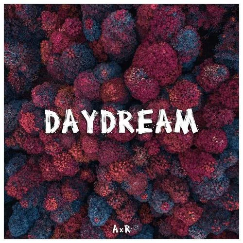 Daydream-AxR