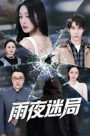 雨夜迷局＆沉默的真相之雨夜原罪（52集）张禹麟＆王嘉嘉