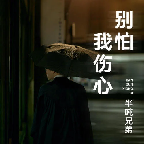 别怕我伤心-半吨兄弟