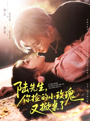 陆先生，你捡的小玫瑰又掀桌了（74集）钟正＆墨凝