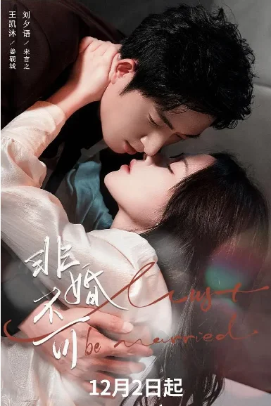 [夸克網(wǎng)盤][國劇]短劇《非婚不可》（2025）劇情?/?愛情?/?短片