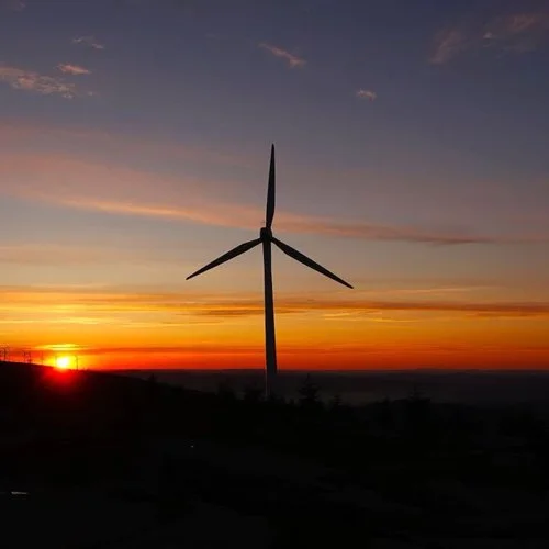 真的爱着你 (明慧版)-明慧