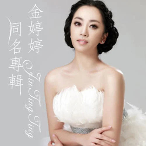 二十年后再相会-金婷婷