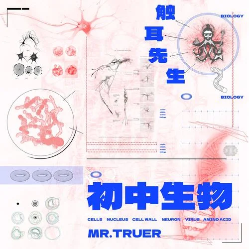 初中生物-2 七年级上册 细胞是生命活动的基本单位-触耳先生