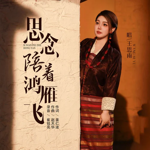 思念陪着鸿雁飞-王思雨