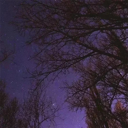 卡农(纯净钢琴版)-纯音乐