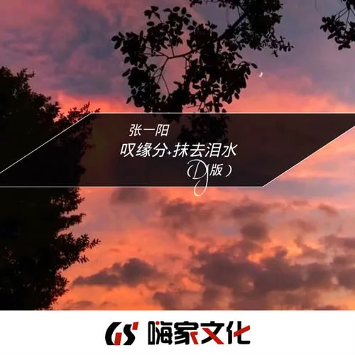 怎么说我不爱你(DJ版)-张一阳