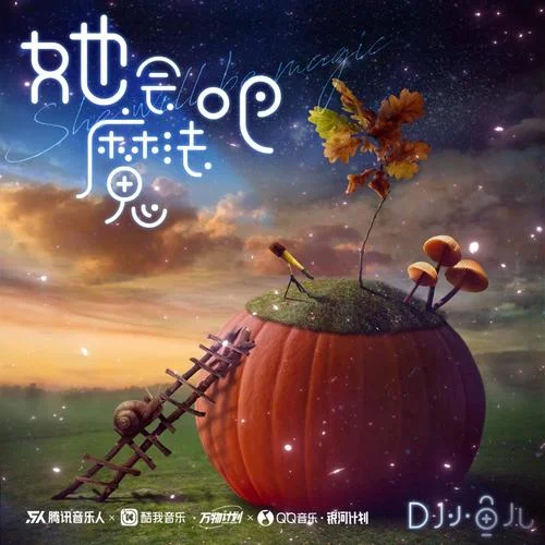 她会魔法吧-DJ小鱼儿