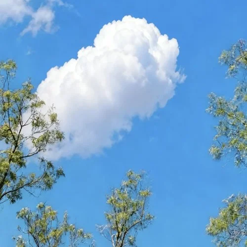 蓝天(我陷在爱里面)-大头针