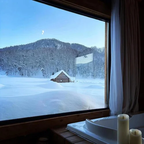 雪落成盐-万能日记