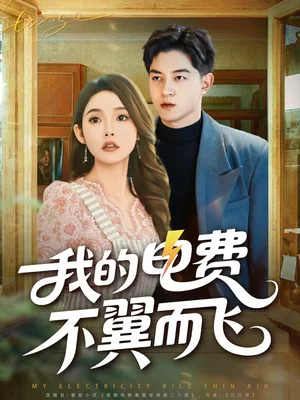 我的電費(fèi)不翼而飛（60集）賀龍?zhí)欤钋€