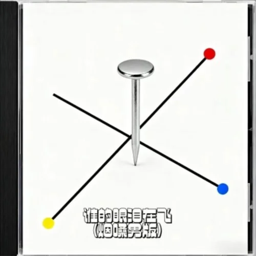 谁的眼泪在飞 (烟嗓男版)-大头钉