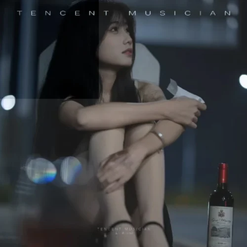 dj2025车载重低音-小雨吖