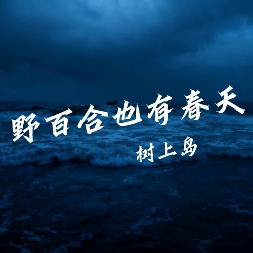 野百合也有春天-阿柴