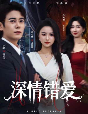 深情錯愛&鳩占鵲巢（45集）羅鵬&張心然