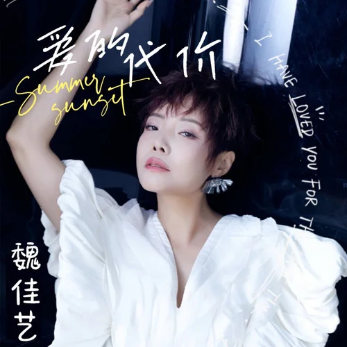 爱的代价-魏佳艺