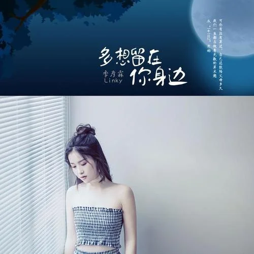 多想留在你身边-季彦霖