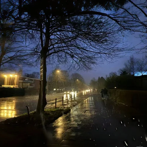 斑马斑马 (DJ版)-DJ铁柱Remix