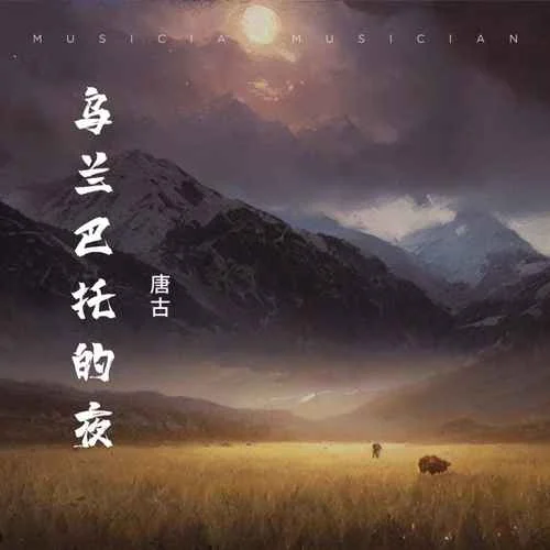 乌兰巴托的夜-唐古