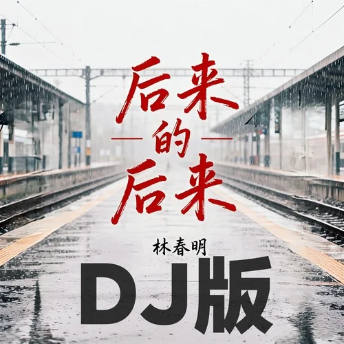 后来的后来(DJ西米版)-林春明