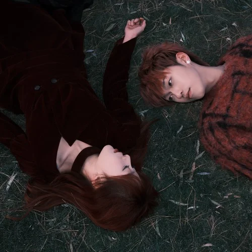 病态的爱-哈利白特&Zkaaai