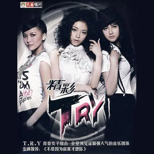 不是因为寂寞才想你-T.R.Y.