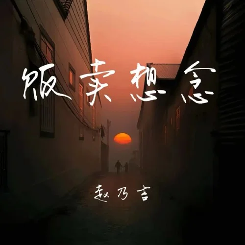 贩卖想念-赵乃吉