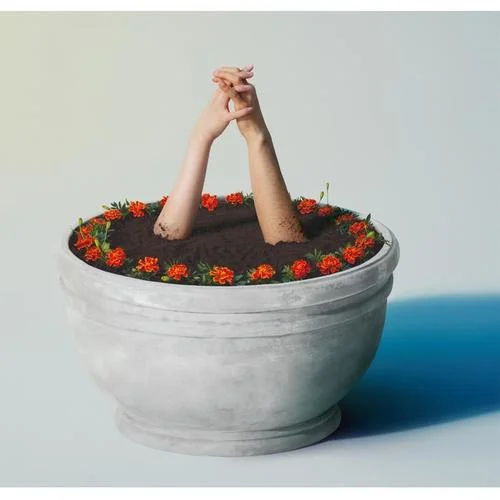 マリーゴールド-Aimyon