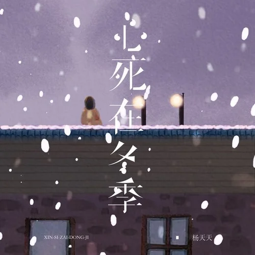 心死在冬季-杨天天
