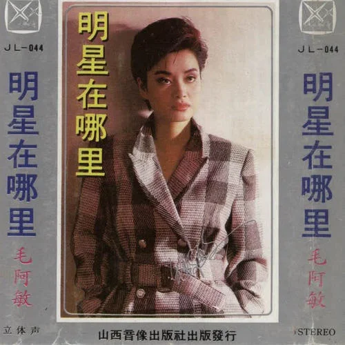 跟着感觉走-毛阿敏