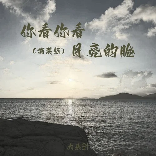 你看你看月亮的脸 (撕裂版)-大头針