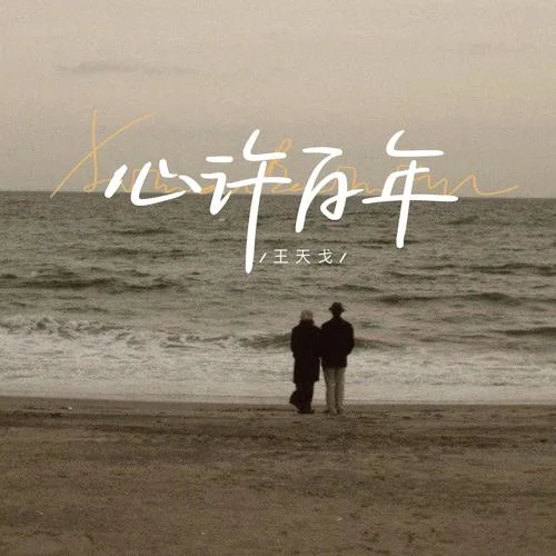 心许百年-王天戈