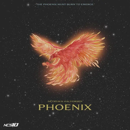 Phoenix-Netrum&Halvorsen