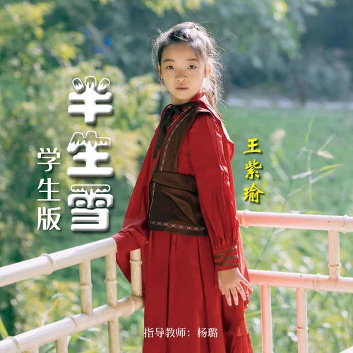 半生雪(学生版)-王紫瑜
