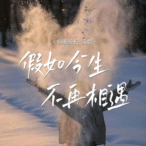 假如今生不再相遇-烟嗓船长