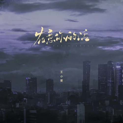 在意你的话-王小雯