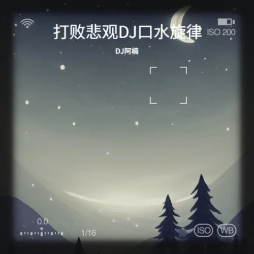 带走了我的天真DJ-DJ阿楠