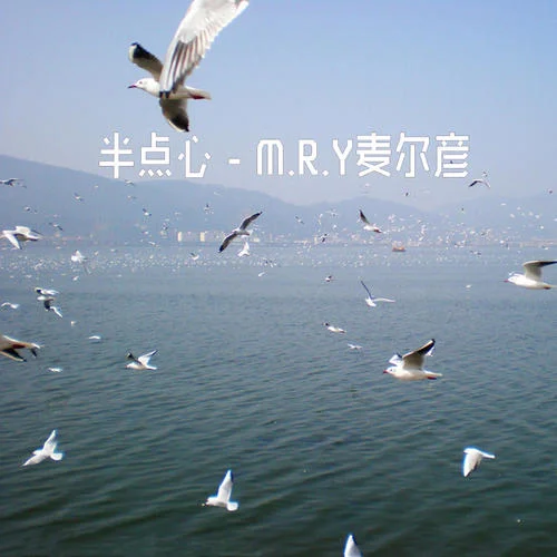 半点心(抖音DJ版)-M.R.Y麦尔彦