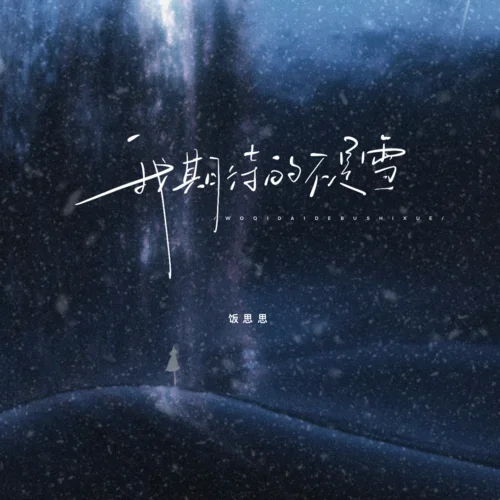 我期待的不是雪-饭思思